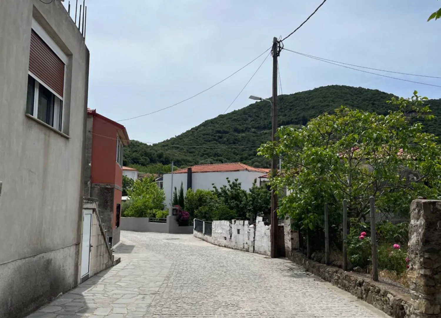 Ck Apartment Sykia Chalkidikis