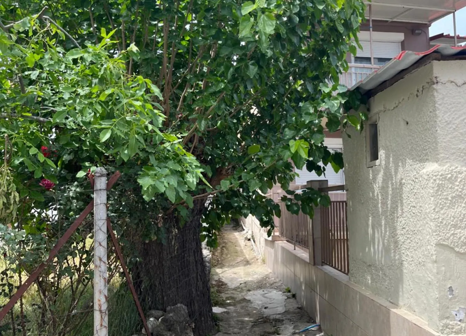 Ck Apartment Sykia Chalkidikis
